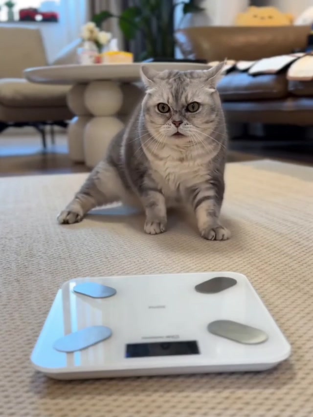 减肥